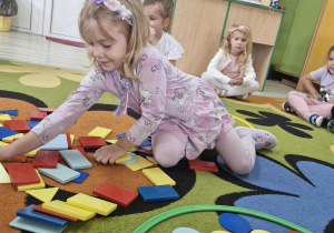 12.Nadia segreguje figury geometryczne wkładając do okręgu wszystkie koła