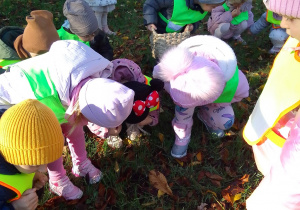 Dzieci wypatrują w trawie kasztanów.