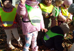 Kornelia prezentuje znalezionego kasztana, inne dzieci wypatrują kolejnych skarbów jesieni.