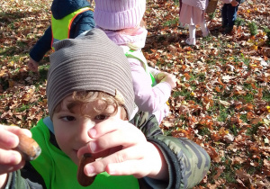 Michał prezentuje jesienne skarby.