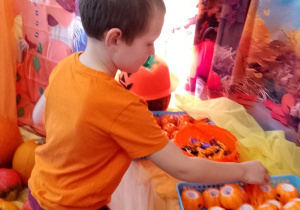 Antek wybiera sobie dyniowe upominki.