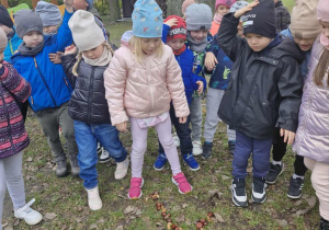 Dzieci podążają za strzałką ułożoną z liści i kasztanów.