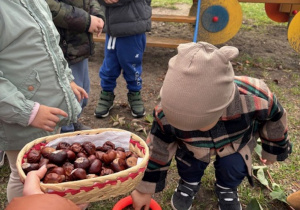 Chłopiec wrzuca kasztany do obręczy.