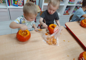 Szymon i Olek wyjmują łyżkami pestki z dyni.