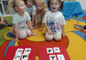 Maja i Hania dobierają w pary obrazek bajkowej postaci z jego cieniem. Michał i Ala obserwują ich działania.