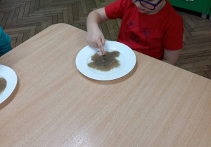 Chłopiec eksperymentuje z pieprzem, wodą i mydełkiem.