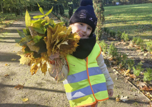 Zuzia pozuje do zdjęcia trzymając w dłoniach bukiet jesiennych liści
