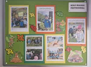 Z wizytą w mrowisku