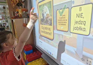 Weronika rozwiązuje quiz na tablicy multimedialnej.