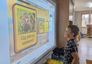 Franuś stojąc przed tablicą multimedialną odpowiada na zagadkę dotyczącą je