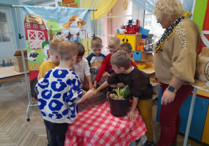 Grupka chłopców stoi obok stolika, na którym znajduje się skrzynka z ziemniakami. Dzieci poszukują ziemniaków ukrytych w ziemi. Obok stoi Pani prowadząca zajęcia.