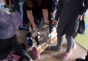 "Słoneczka" podczas wróżby w ustawianie bucików.