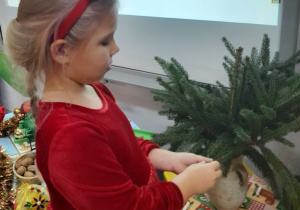 Tosia dotyka gałązek świerku umieszczonych w wazonie.