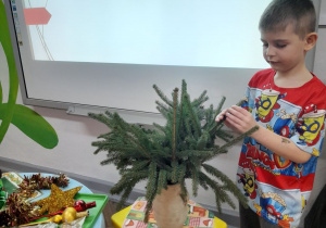 Mikołaj stoi przed tablicą multimedialną, na której wyświetlony jest pierwszy slajd prezentacji pt. "Choinka dawniej i dziś". Chłopiec dotyka gałązek świerku umieszczonych w wazonie. Obok znajduje się stolik z ozdobami choinkowymi.