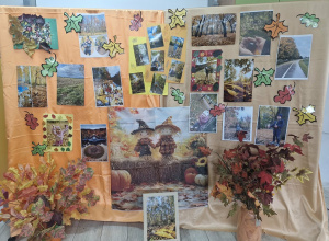 Konkurs fotograficzny "Kolory jesieni" – ogłoszenie wyników konkursu