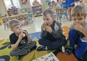 Olek, Franek i Ignacy siedzą na dywanie. Chłopcy nadmuchują kolorowe balony.