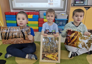 6. Szymon, Ignacy i Stanisław trzymają w dłoniach zdjęcia przedstawiające park i drzewa.