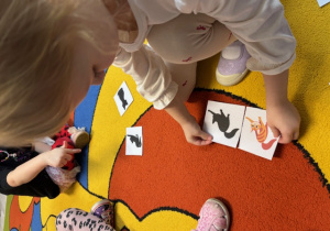 Kornelia dopasowuje ilustrację kota do jego cienia.