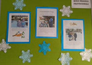 Na zdjęciu dzieci karmią ptaki.