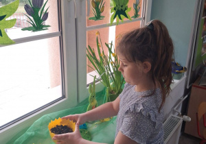 Nadia stawia pojemniki z owsem na parapecie w sali.