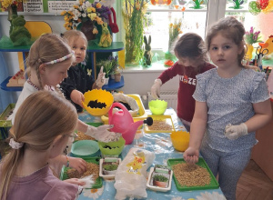 Wielkanoc tuż, tuż - siejemy owies i rzeżuchę