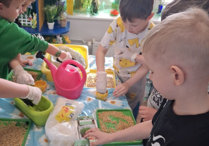 Grupka chłopców stoi przy stoliku i miesza ziemię z owsem.