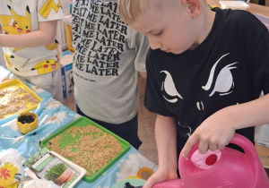 Fabian podlewa rzeżuchę konewką. Obok stoją koledzy.
