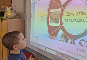 Szymon stoi przed tablicą multimedialną i rozwiązuje quiz online.