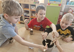 Przedszkolaki siedzą przy stole i wsypują ziemię do doniczek.