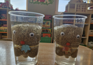 Dwie Panie Greenie zanurzone w wodzie.