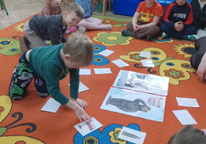 5. Dzieci siedzą w kole na dywanie, na środku leżą ilustracje i karty. Dawid odsłania jedną z kart.