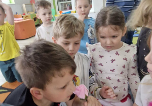 Franek wącha mydlaną różyczkę.