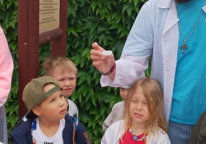 Biedronki biorą udział w eksperymentach z suchym lodem.