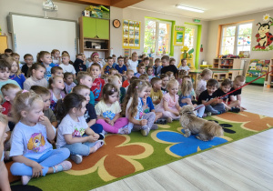 Dzieci z zaciekawieniem przyglądają się pieskowi.