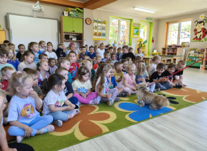 Spotkanie z wolontariuszem schroniska Felkowy Stryszek - Dom Tymczasowy