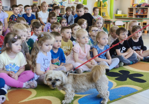 Dzieci słuchają ciekawych wiadomości o pieskach i przyglądają się Buni.