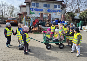 2. Józio, Wojtek, Franek i Kalinka próbują ciągnąć wózek w którym siedzą trzy dziewczynki: Jagoda M., Jagoda Ł i Felicja. Reszta dzieci z grupy stoi za wózkiem i zaczyna pchać.