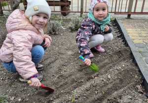 4. Jagoda z Felą z pomocą łopatek szykują miejsce na kolejne nasionka.