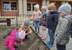 5. Dawid z Jagodą sieją nasionka w miejscu przygotowanym przez dziewczynki. Jagoda, Felicja, Wojtek i Olek stoją obok i dokładnie obserwują proces siania.