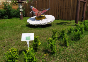 W części tematycznej "Z wizytą u motyli" znajduje się rzeźba motyla usytuowana na kwiatku stokrotka, gra światowid „Owady” - motyle, rośliny, płot lamelowy.