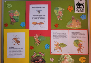 Na zdjęciu widać tablicę, na której znajdują się informacje dotyczące znaczenia mrówek w ekosystemie. Całość ozdobiona jest obrazkami kolorowych mrówek.